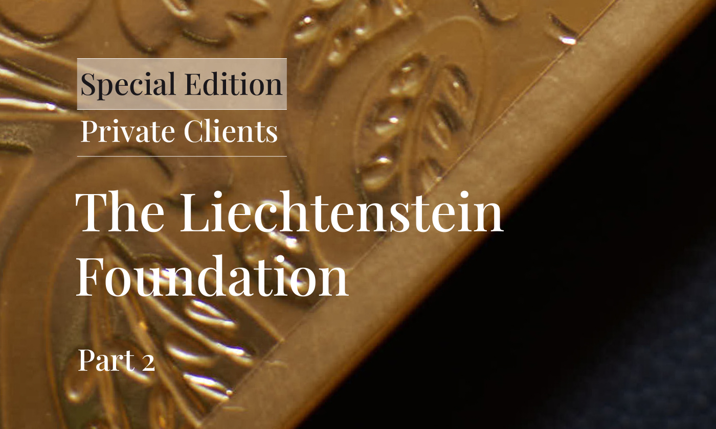 The Liechtenstein Foundation – Part 2 | governing bodies