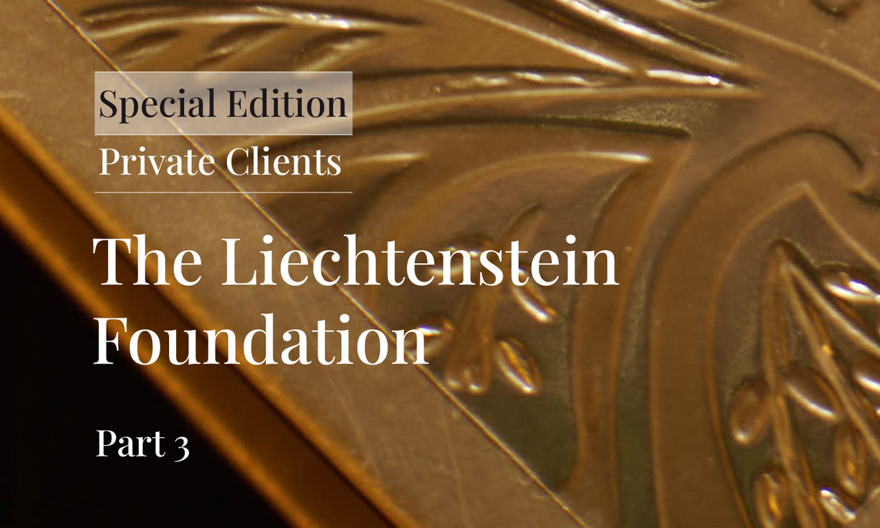 The Liechtenstein Foundation – Part 3 | sub-founations